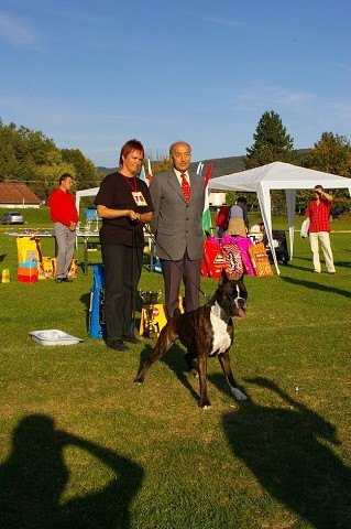 www.boxer-show.eu